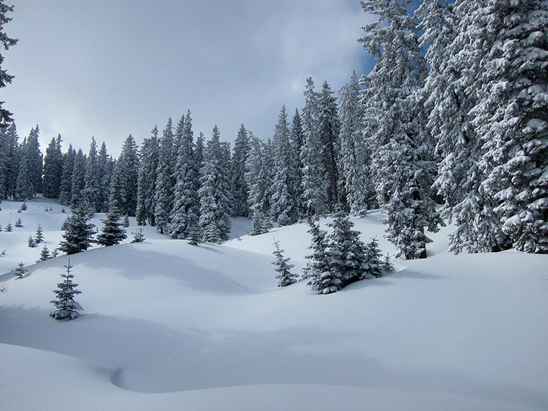 Kuhschneeberg